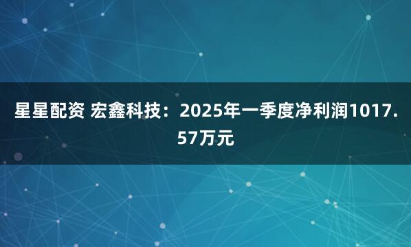 星星配资 宏鑫科技：2025年一季度净利润1017.57万元