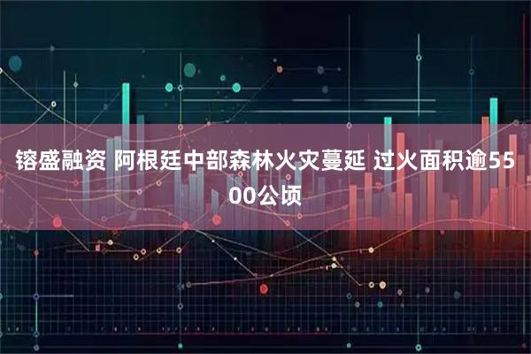 镕盛融资 阿根廷中部森林火灾蔓延 过火面积逾5500公顷