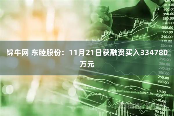 锦牛网 东睦股份:11月21日获融资买入334780万元