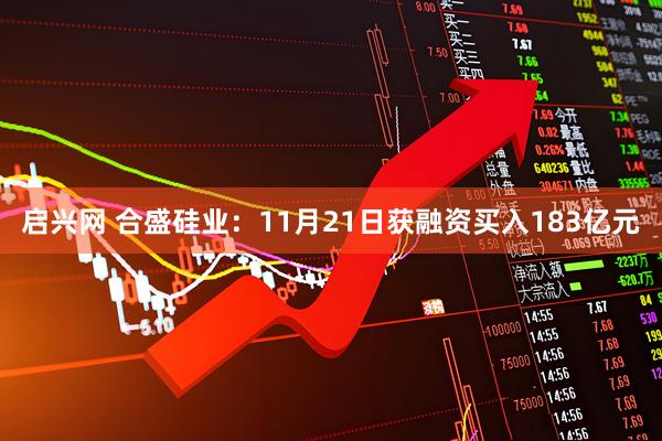 启兴网 合盛硅业：11月21日获融资买入183亿元