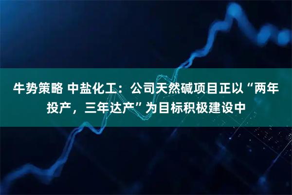 牛势策略 中盐化工:公司天然碱项目正以“两年投产,三年达产”为目标积极建设中