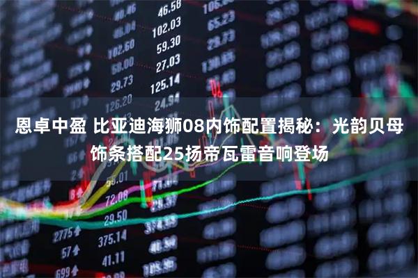 恩卓中盈 比亚迪海狮08内饰配置揭秘：光韵贝母饰条搭配25扬帝瓦雷音响登场